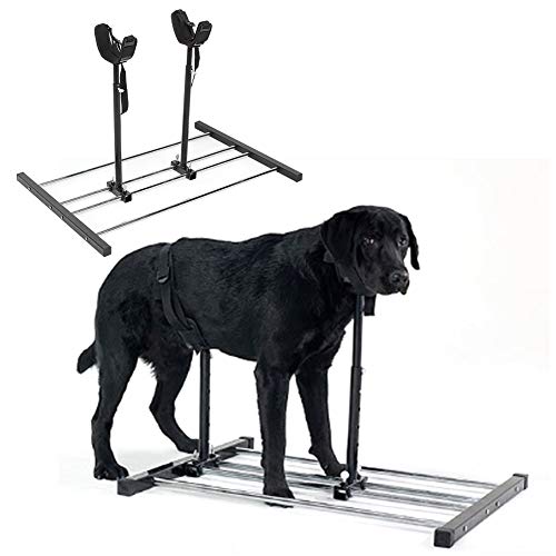 Dog breeding accessories Clearance
