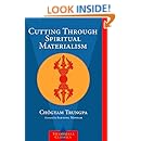 Cutting Through Spiritual Materialism