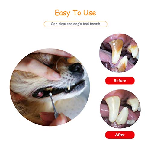 KENANLAN Hond Tand Scaler en Scraper Pet Tarter Remover met verschillende hoeken Dubbele Hoofd Rvs Tanden Reiniging… - Afbeelding 6