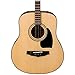 Ibanez PFT2NT Natural High Gloss PF Performance Series Tenor Acoustic Guitar w/ Stand