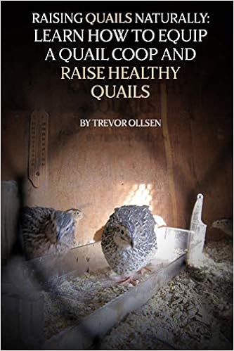 Raising Quails Naturally Learn How To Equip A Quail Coop And