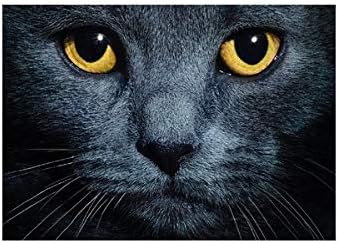 Otter House Gift Set De Table Le Regard Du Chat Amazon Fr Cuisine Maison