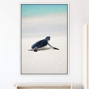 signwin Framed Canvas Wall Art Fish on The...