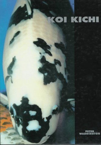 Koi Kichi by Peter Waddington (Hardcover)