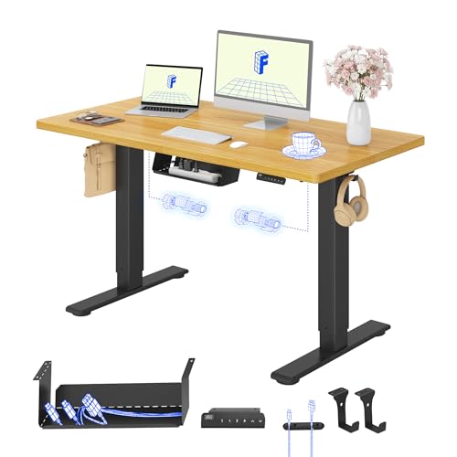 FLEXISPOT Höhenverstellbarer Schreibtisch elektrisch, Doppelmotor 120x60 cm