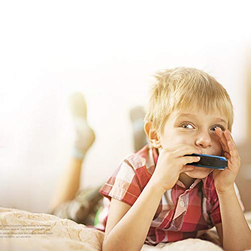 Blues Harmonica with Black Case (Blue), 10 Holes, 20 Tones, Key of C Blues Harmonica Stainless Steel, Suitable for Beginners and Professionals Players, Best Gift for Kids, Students, Friends
