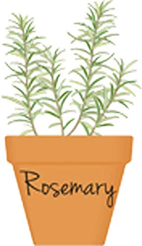 Divine Designs Potted Herb Cartoon Art Vinyl Decal Sticker 12 Tall Rosemary Amazon In Car Motorbike