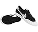 Nike Mens Zoom All Court CK QS Black/White Skateboarding Shoes