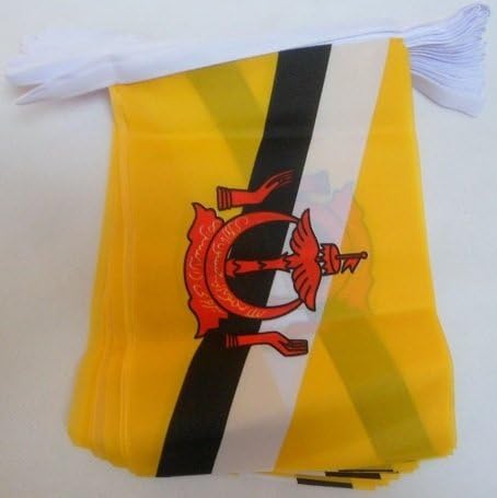 AZ FLAG - Brunei Bunting Flag - 40 Ft Garland with 20 Bruneian Flags 18'' x 12'' - 100% Polyester String Pennant - 12 meters