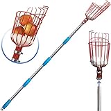 COCONUT Fruit Picker Tool, Fruit Picker with Basket and Pole,Easy to Assemble & Use Fruits Catcher Tree Picker for Getting Fruits (5.5ft)