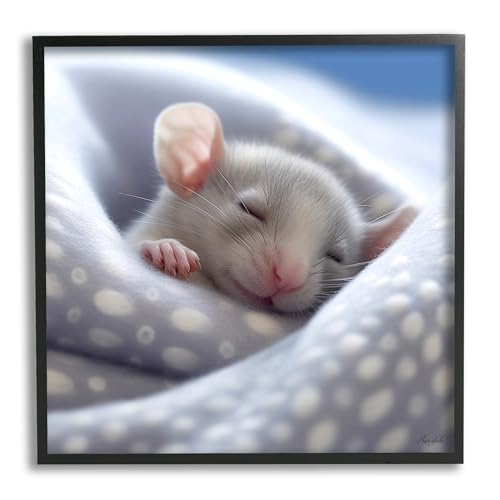 Stupell Industries Soft Sleeping Mouse Framed Giclee Art by Roozbeh