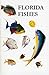 Saltwater Florida Fishes