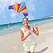 ALLON Rainbow Delta Kite for Kids & Adults, Easy to Assemble and Fly Large Beach Toy Kite for Boys & Girls, Giant Size 60 x 80 Inches, Bonus with 330' String Line