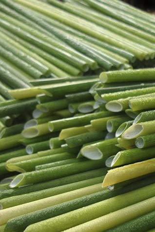 Waldlieb® Trinkhalme aus Gras | Bio-logische nachhaltige Strohhalme | kompostierbar, vegan, glutenfrei| plastikfreie… – Bild 6