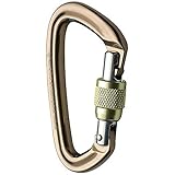 Black Diamond Positron Screwgate Carabiner