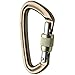 Black Diamond Positron Screwgate Carabiner