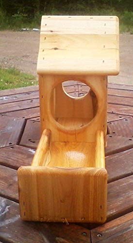 Fence Mount Gallon Glass Jar Squirrel Feeder Cedar Wood Import