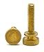 Knurled Head Thumb Screws - Solid Brass Machine Screws - #10-24 x 3/4