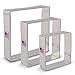 Square Cookie Cutters 3-Pc. Set Made in USA by Ann Clark, 2.5