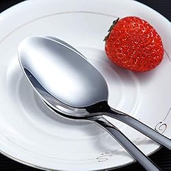 Dinner Spoon of 6, Berglander 7.5" Stainless Steel
