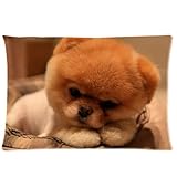 Boo The Dog Pet Dog Custom Pillow Cases Covers Standard Size Pillowcase 20