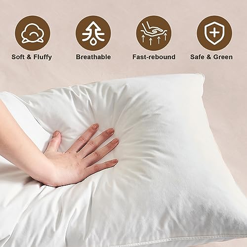BHZ Down Pillows Goose Down Feather Bed Pillows Hotel Bed Pillows for