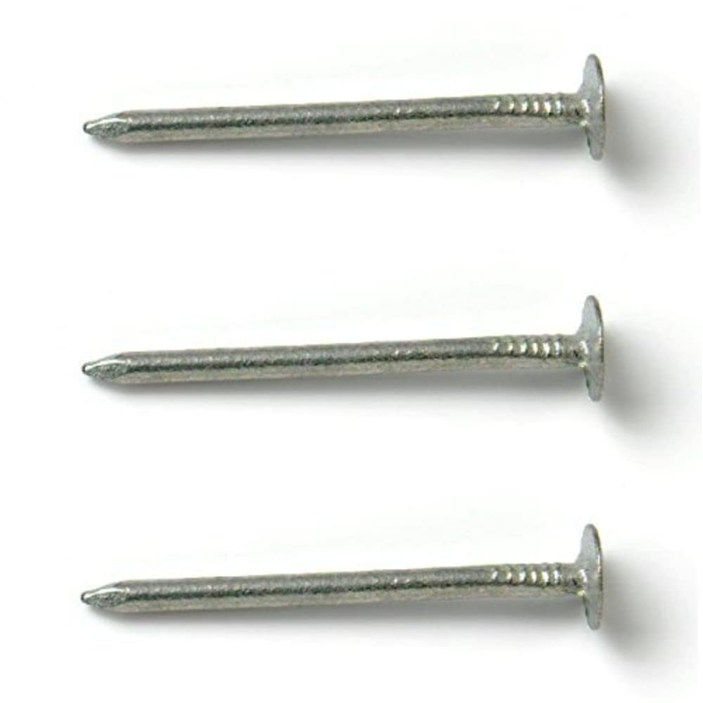 Merriway BH03743 (150 gm) Clout Nail With Extra Large Head, Galvanised 38mm (1.1/2 inch) - Pack of 150g