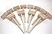 Beall's Bay 12 Pack Crab or Lobster Mallets with Off-Season Storage Box