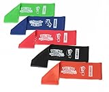 Resistance Bands -12x3 Yoga Fitness Bands - Progressive Loop Band Weights - Best Rehab - Weight Loss - Pilates - Crossfit - P90X - Endurance Training - Stretching - 5-Pack- NORISK Satisfaction