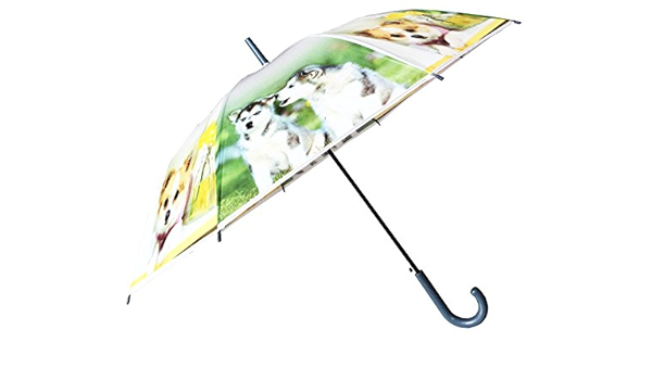 amazon dog umbrella