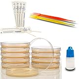 Amazing Bacteria Science Kit - Prepoured Agar Plates Kit - Top Science Fair Project Kit - Superior Bacteria Growth - Award Winning Experiment Ebook - Have Fun While Learning Microbiology Now!