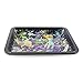 Ooze Life Rolling Tray Medium- (Universe) 10