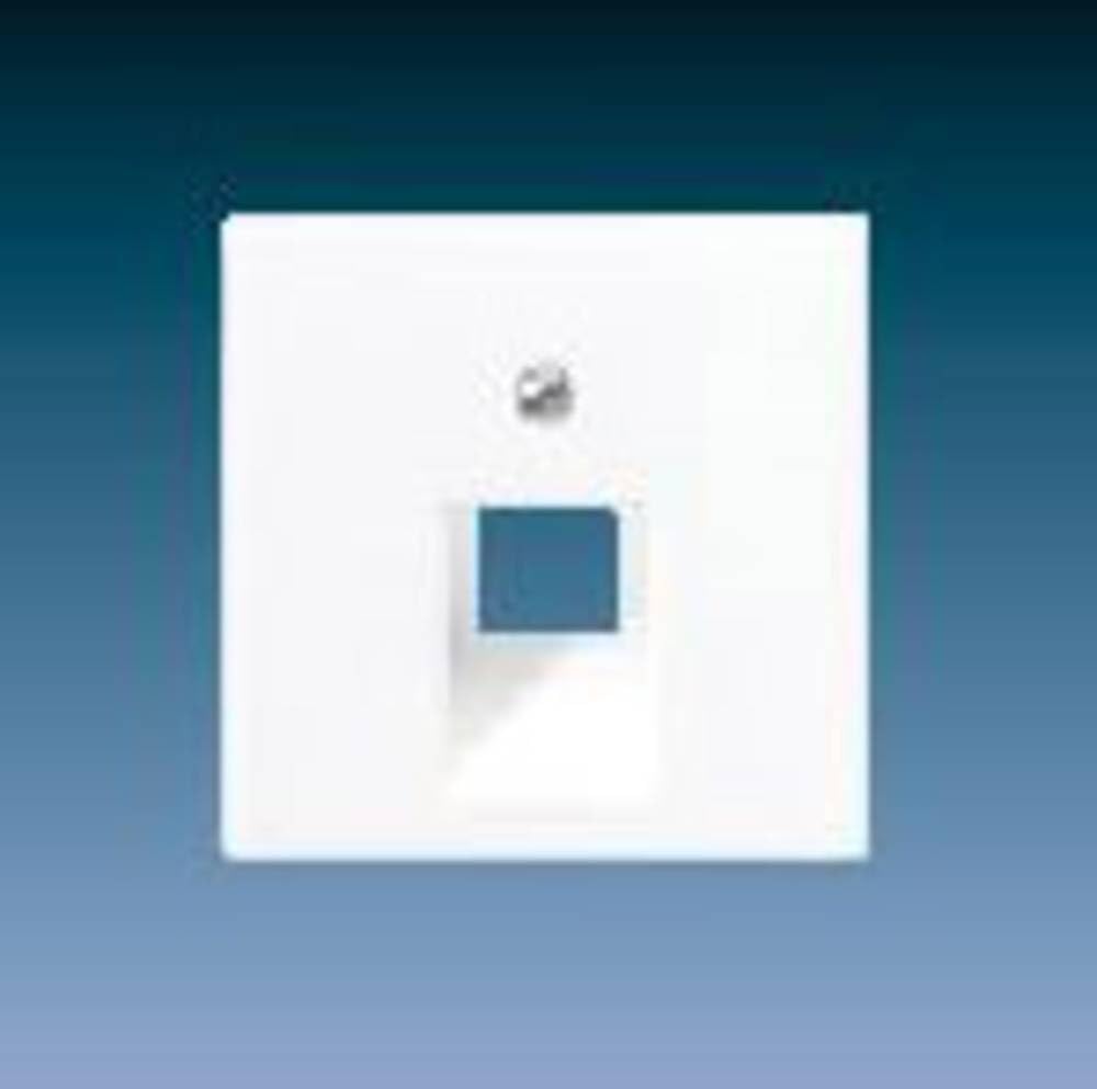 Jung A569-1PLUA Cover for IAE/UAE Wall Socket