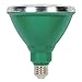 Westinghouse Lighting 3314900 100-Watt Equivalent PAR38 Flood Green Outdoor Weatherproof LED Light Bulb with Medium Base Single 33149