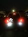 LUYED 5 x 800 Lumens 9v-30v 1156 1141 1003 5630 18-EX Chipsets Led Bulb Used for Back Up Reverse Lights,Brake Lights,Tail Lights,Rv Light,Xenon White