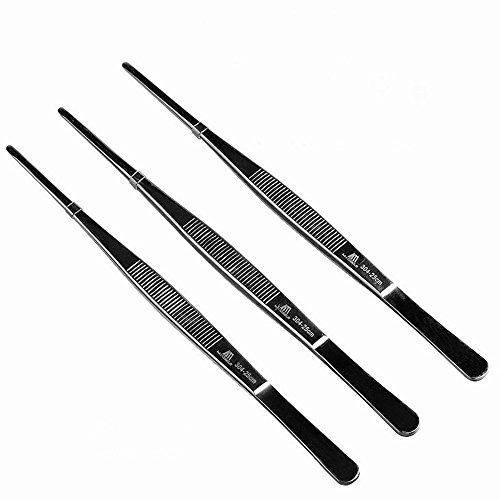 LIUNA Stainless Steel 25cm 10-inch Long Precision Straight Tweezers Forceps Aquarium Basin Tongs Kitchen Tools