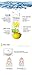 [Secret Key] Lemon Sparkling (#Cleansing Foam 120ml 2pcs set)