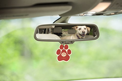 image for One Fur All Pet House Car Air Freshener, Pack of 4 – Ruby Red Grapef
