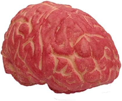 Flying Fish Soft Plastic Bloody Brain Haunted House Horror Halloween Prop Decoration