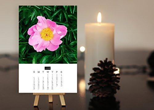 2016 Desk Calendar - Flora - Flower Art, A Year Of Flowers, Stocking Stuffer Mini Calendar