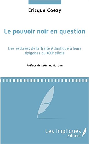 Le  pouvoir noir en question