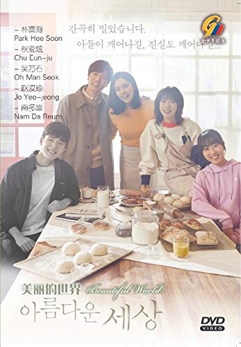Amazon Com Beautiful World Korean Drama Dvd 1 16 Episodes English Sub Ntsc Movies Tv