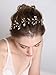 fxmimior Wedding Bridal Vintage Leaf Headband Headpiece Tiara Bride Hair Accessories (gold)