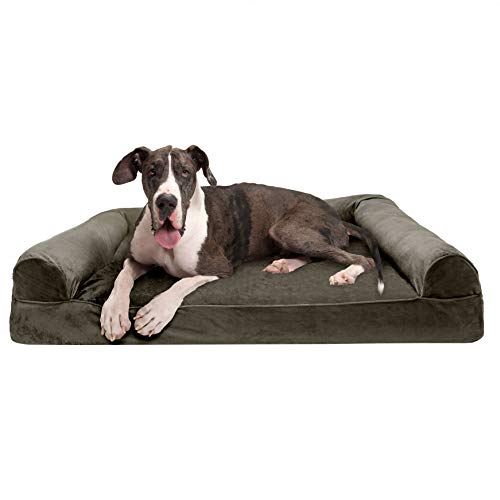 kingpets dog bed