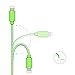iPhone 8 Charger, 8 Inch Short F-color Braided Lightning to USB Charger Ultra Compact Cable for iPhone 8 7 6S 6 Plus 5S 5C 5, iPhone SE, iPad 4 Air 2 Mini 4, iPad Pro iPod Touch 5 Green
