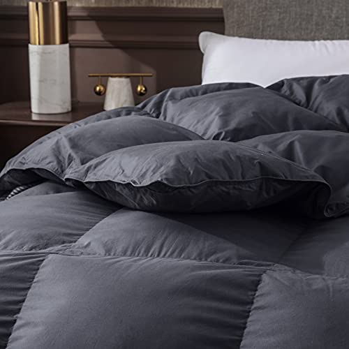 1000 fill down comforter