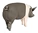 Safari Ltd. Hampshire Pig Figurine - Detailed 4.25