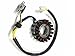 93MM 18 - Coil Magneto Stator + Pick up Manco Talon 257cc 260CC 300CC LINHAI JIANGSU ATV SCOOTER PALACE KEY CHAIN