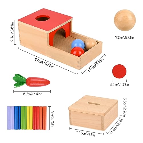 Comius Sharp 4 in 1 Wooden Montessori Toys - Coin Box, Carrot Collection, Sticks for Color Matching and Motor