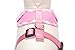 EXPAWLORER Soft Mesh Dog Harness and Leash Set - Pink Dog Harness, No Choke Step-in Adjustable Cute Dog Harness, Breathable Lightweight Vest Harness for Puppy Dogs Cats Outdoor Walking, Small